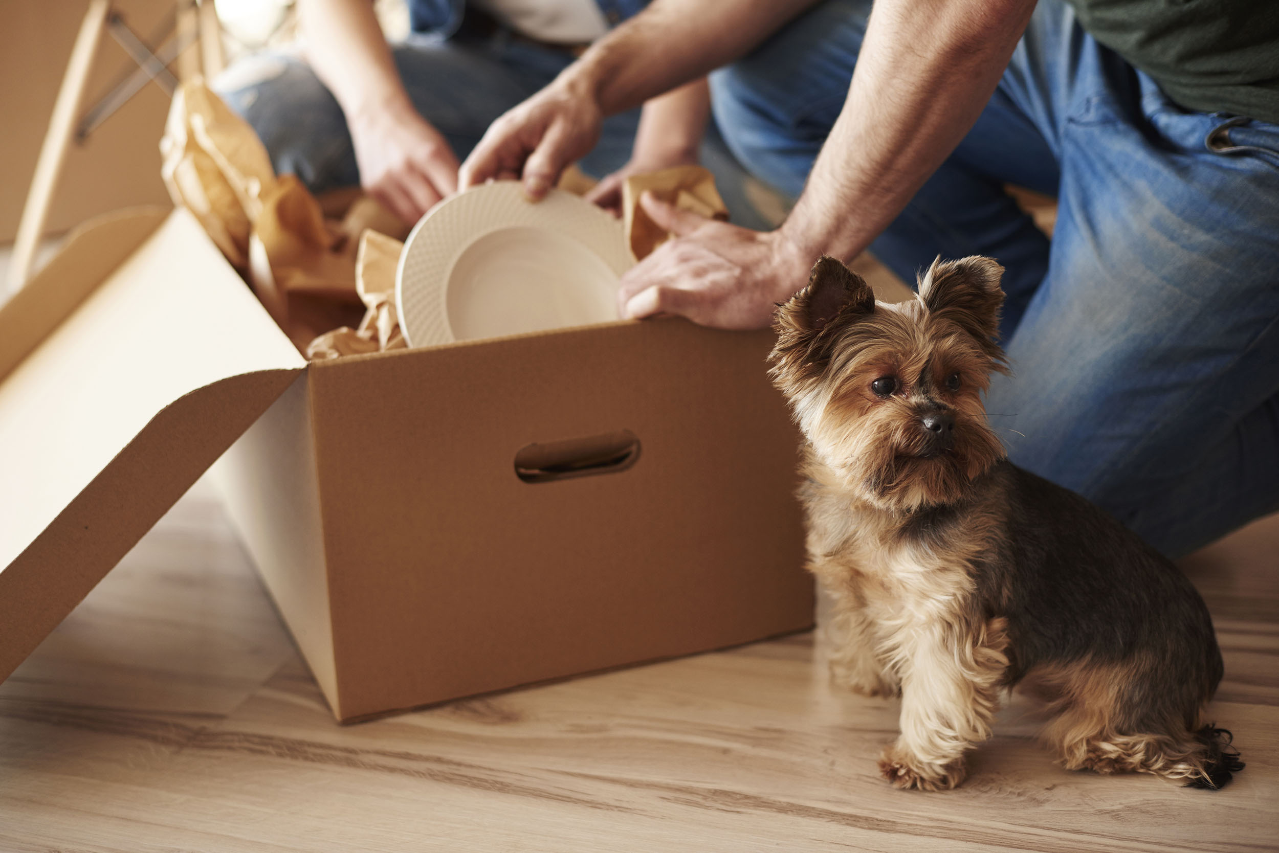 Making Your New House Feel Like Home: A Comprehensive Moving Checklist